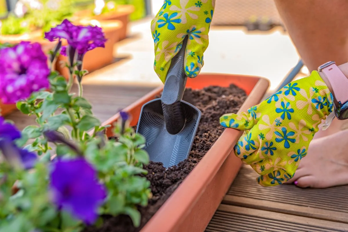 femme qui prépare une jardinière d'automne sur son balcon