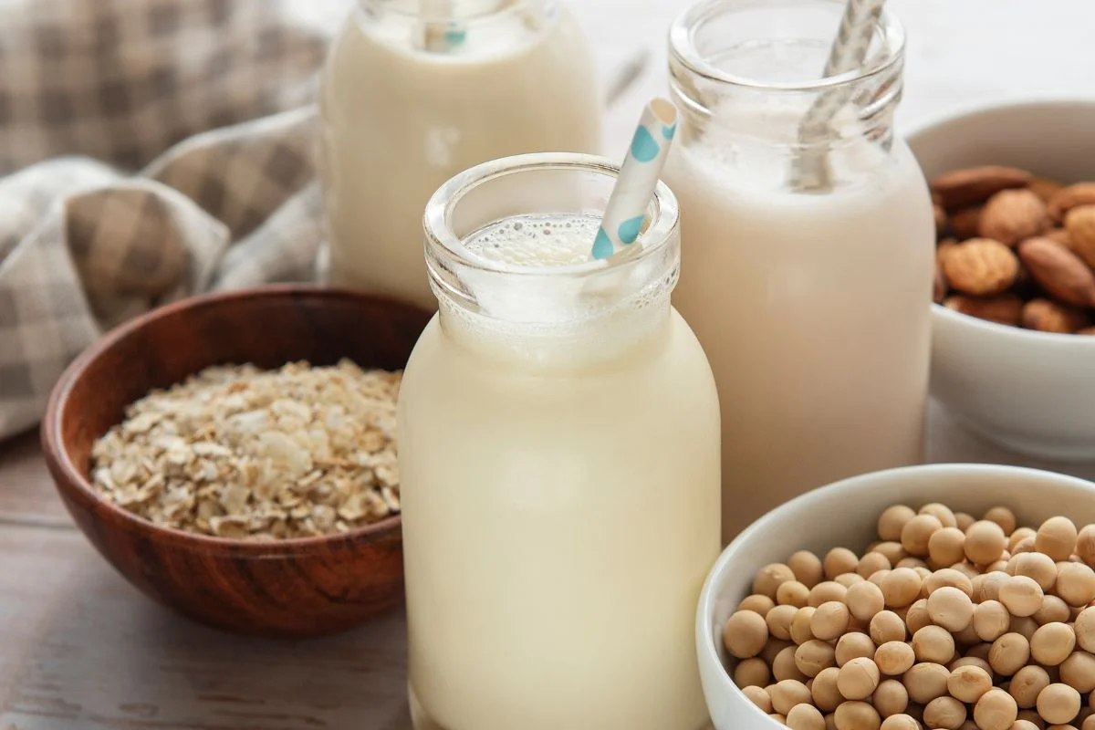 différentes variétés de laits végétaux