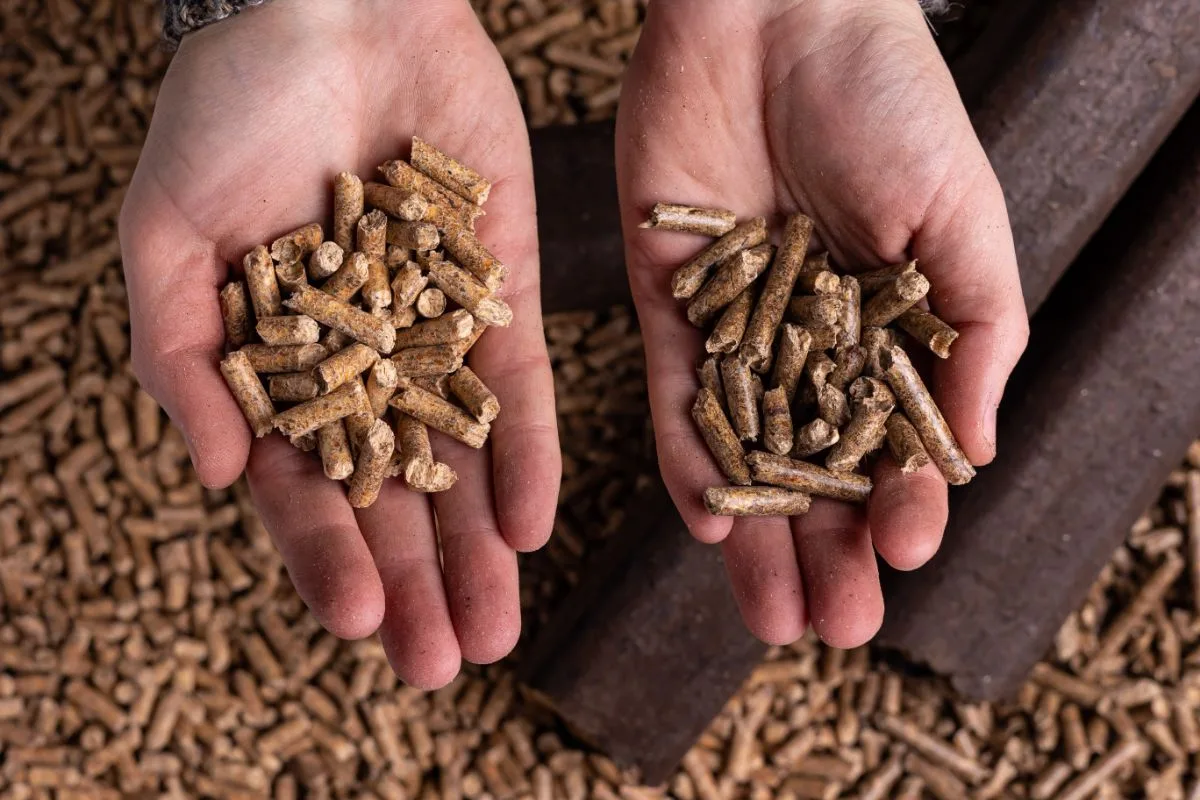 pellets de feuillus et de résineux