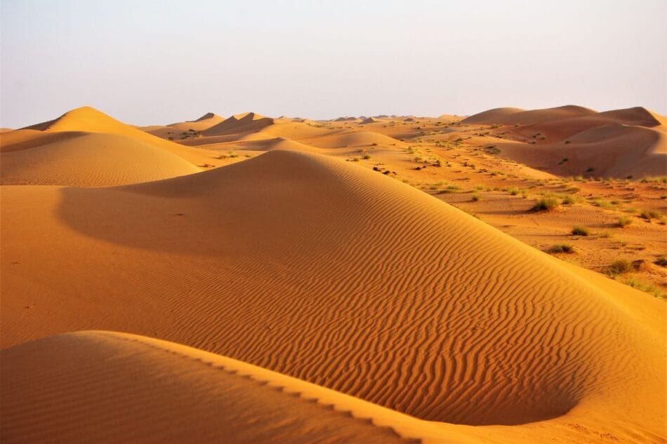 top-5-des-plus-grands-d-serts-chauds-du-monde-d-couvrez-des-paysages