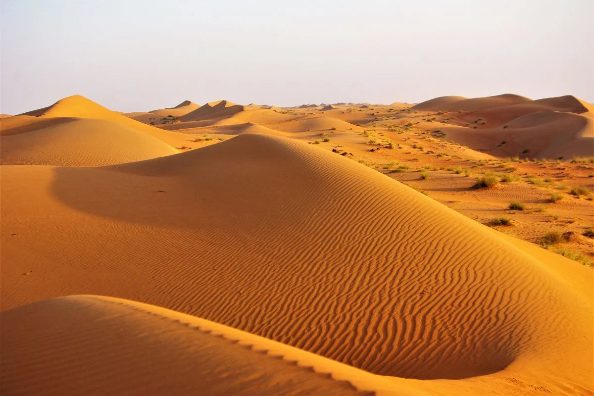 désert d'Arabie