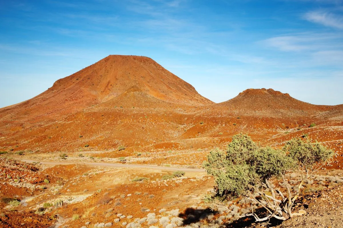 Désert du Kalahari