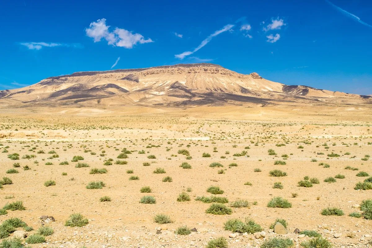 Désert de Syrie