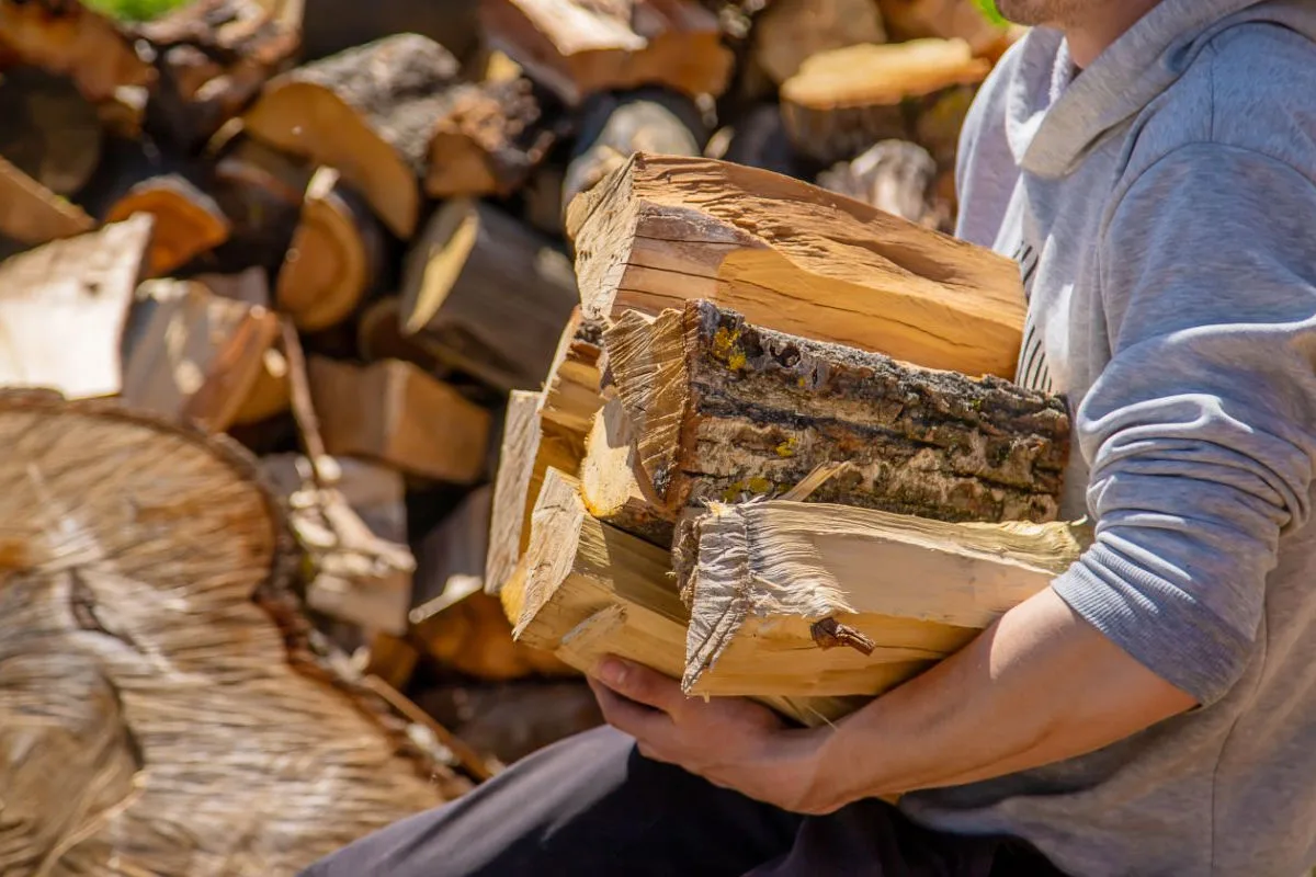 homme qui récupère du bois de chauffage gratuitement grâce au droit d'affouage